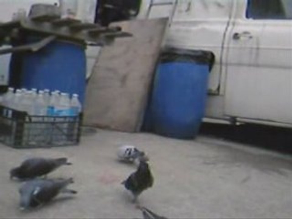 La chasse_0001