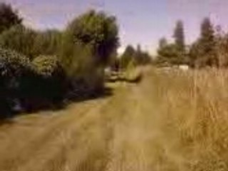 Vidéo0008