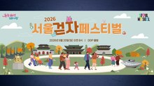 [서울] 다음 달 20일 '서울 걷자 페스티벌'...도심 도로 개방 / YTN