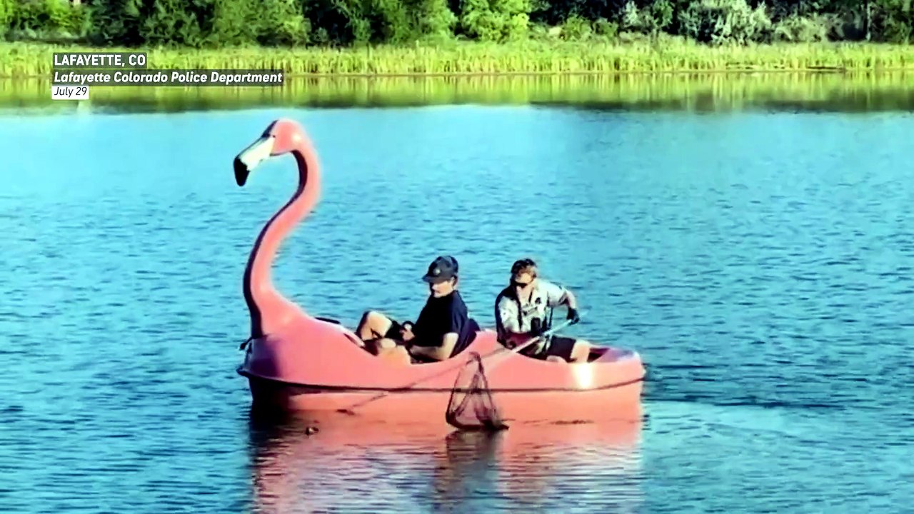 Forget the rescue boat-bring the giant flamingo!