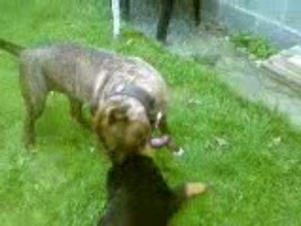 Vidéo-0001
