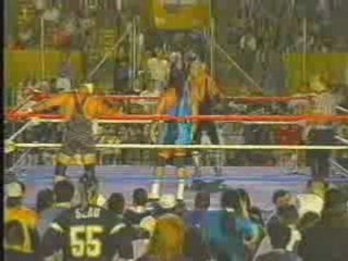 Steiner Brothers vs Dudley Dudley Vampire Warrior