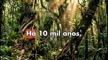 Por que é CRIME pisar nesta ilha brasileira?