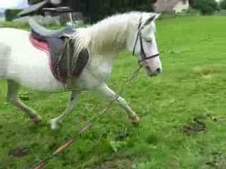 Mimine un peu monté