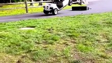 ¿De verdad cualquiera debería manejar un carrito de golf?