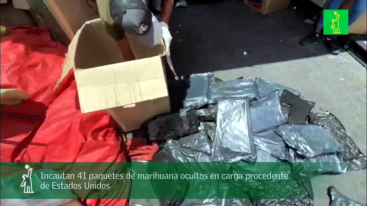 Incautan 41 paquetes de marihuana ocultos en carga procedente de Estados Unidos