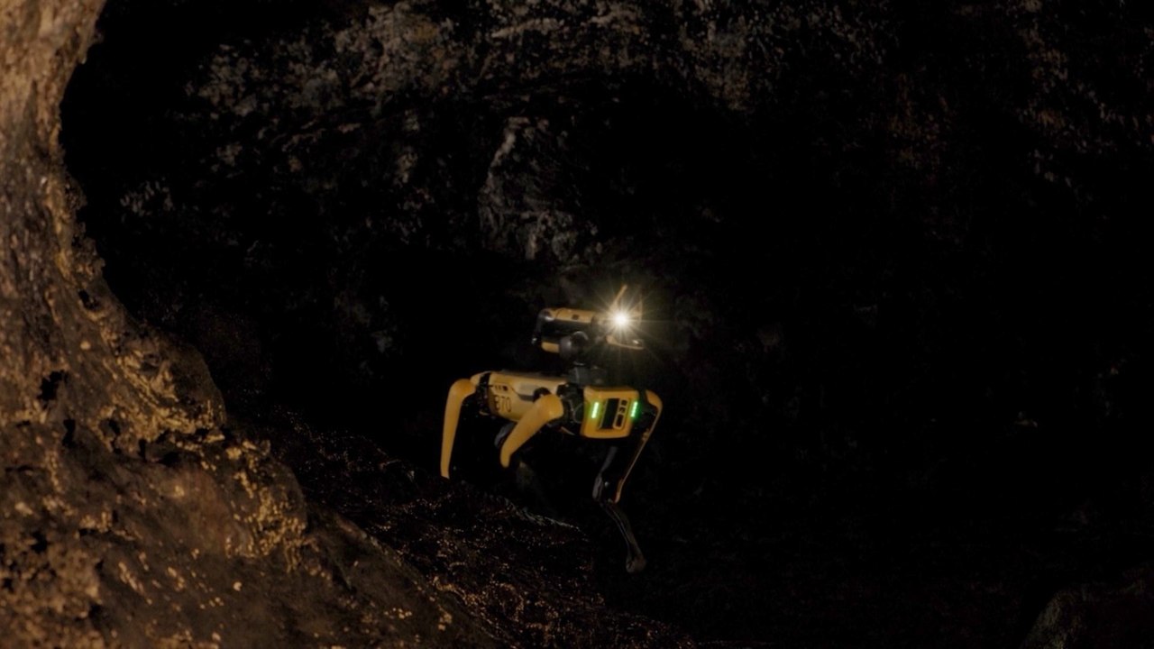 Robot Dog Trains for Space Travel—Could It Aid Future Mars Missions?
