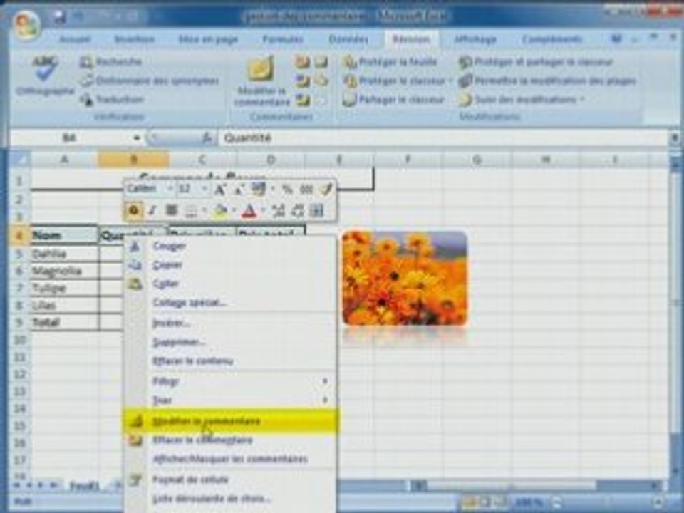 Gestion des commentaires sous Excel 2007