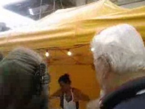 VANNES anne de bretagne 5