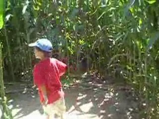 Parc des labyrinthes géants