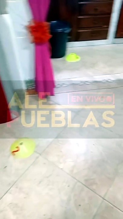 Imágenes de la escena del crimen de Julián Matías Álvarez