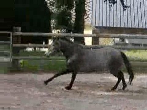 Shalimar 2 eme seance de saut en liberté juillet 2008