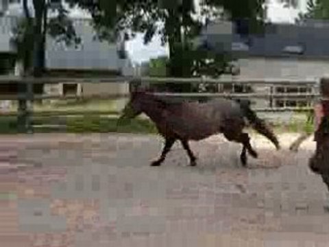 Shalimar 2 eme seance de saut en liberté juillet 2008