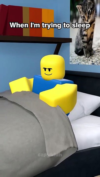 Why we can_t sleep
