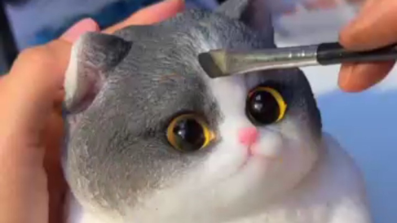 Cats Lovers Amazing #fry #cat