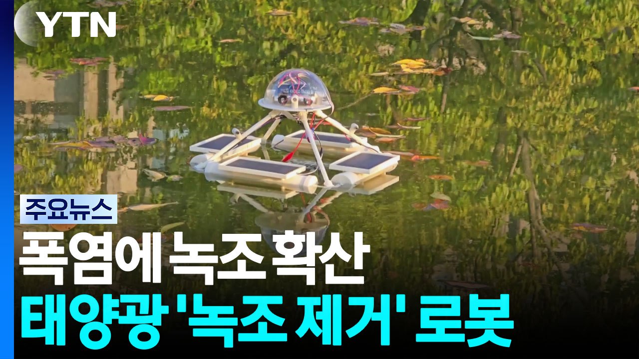 폭염에 녹조 확산...태양광 녹조 제거 로봇 개발 / YTN