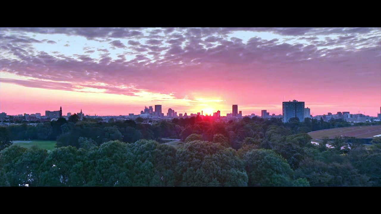 Red Flags – Release 21.08.26 Trailer (Deutsch)