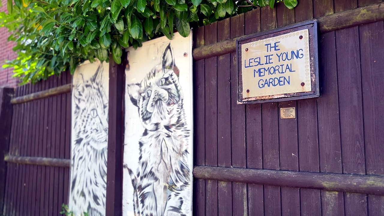 Local cattery on the brink of closure after rising bet bills