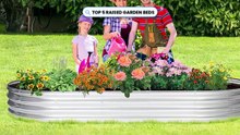 Top 5 Best Raised Garden Beds 2026 - Maximize Your Gardening Space