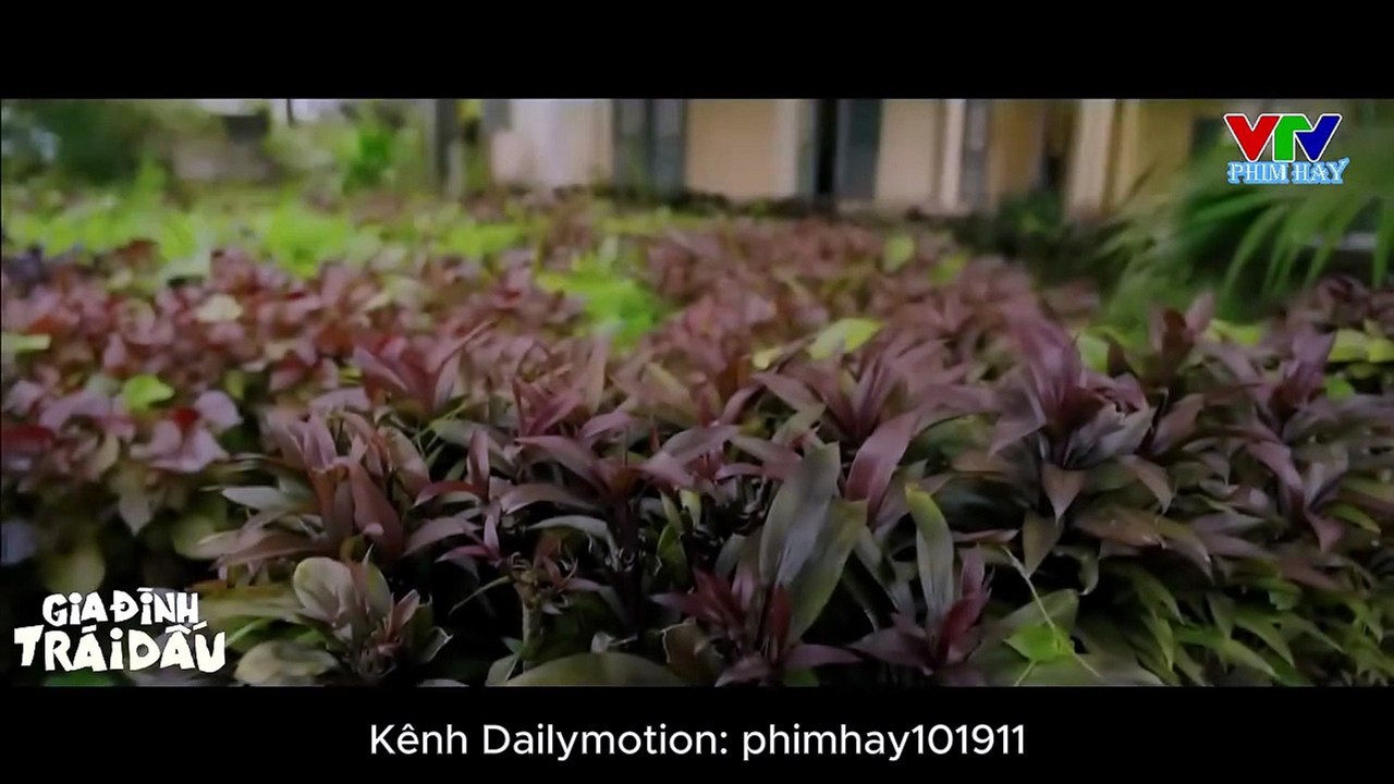 Gia Đình Trái Dấu Tập 24 - Phim Truyền Hình Việt Nam VTV3 | Phim Hay