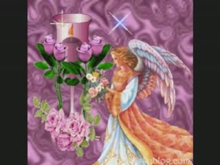 C'est interdie   alain delorme