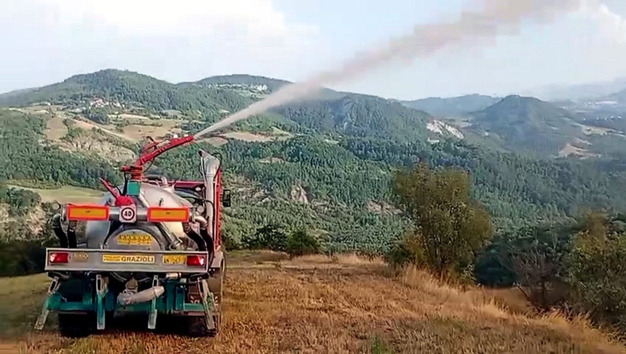 Canossa, in fiamme un'area boschiva a Vedriano