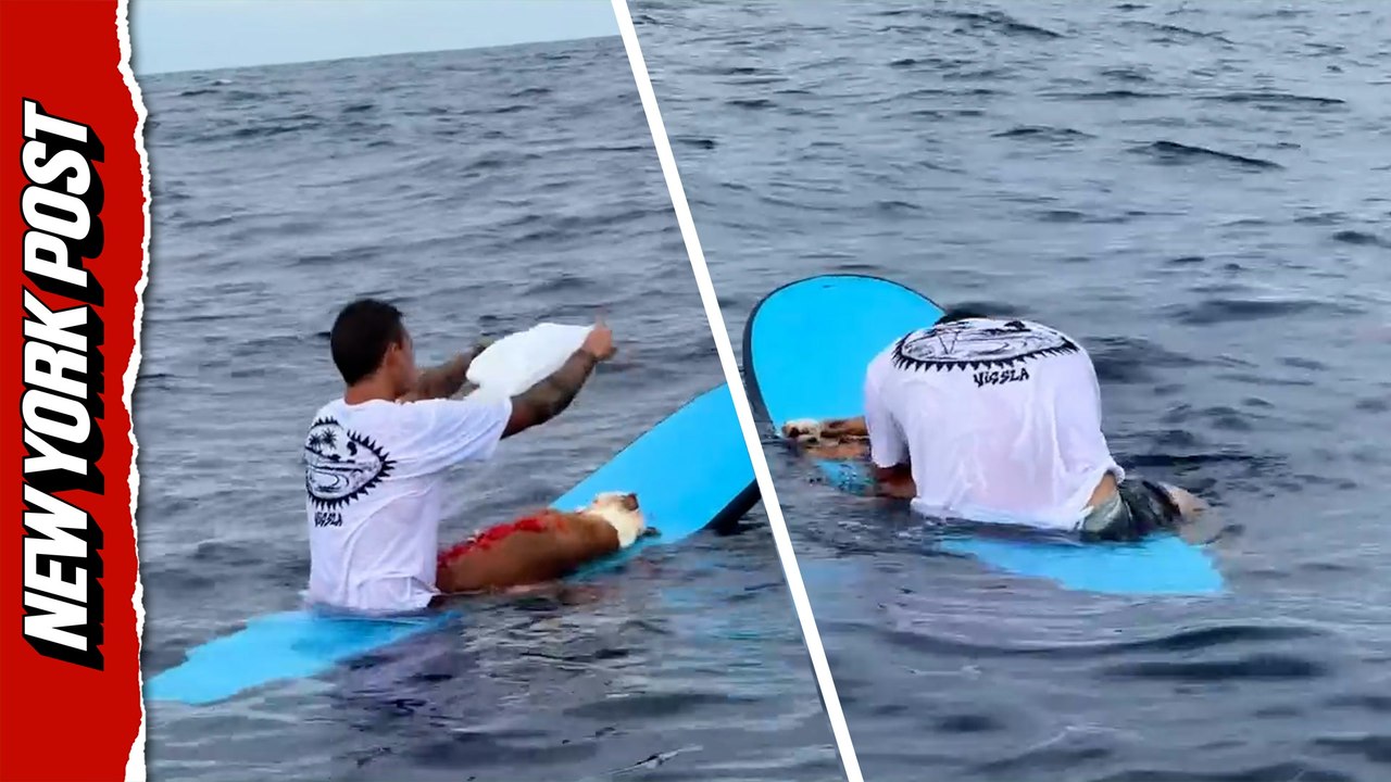 Surfer performs tender farewell ceremony for deceased pet dog