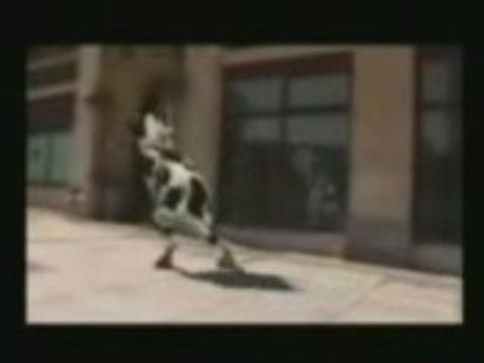 Dancing_Crazy_Cow