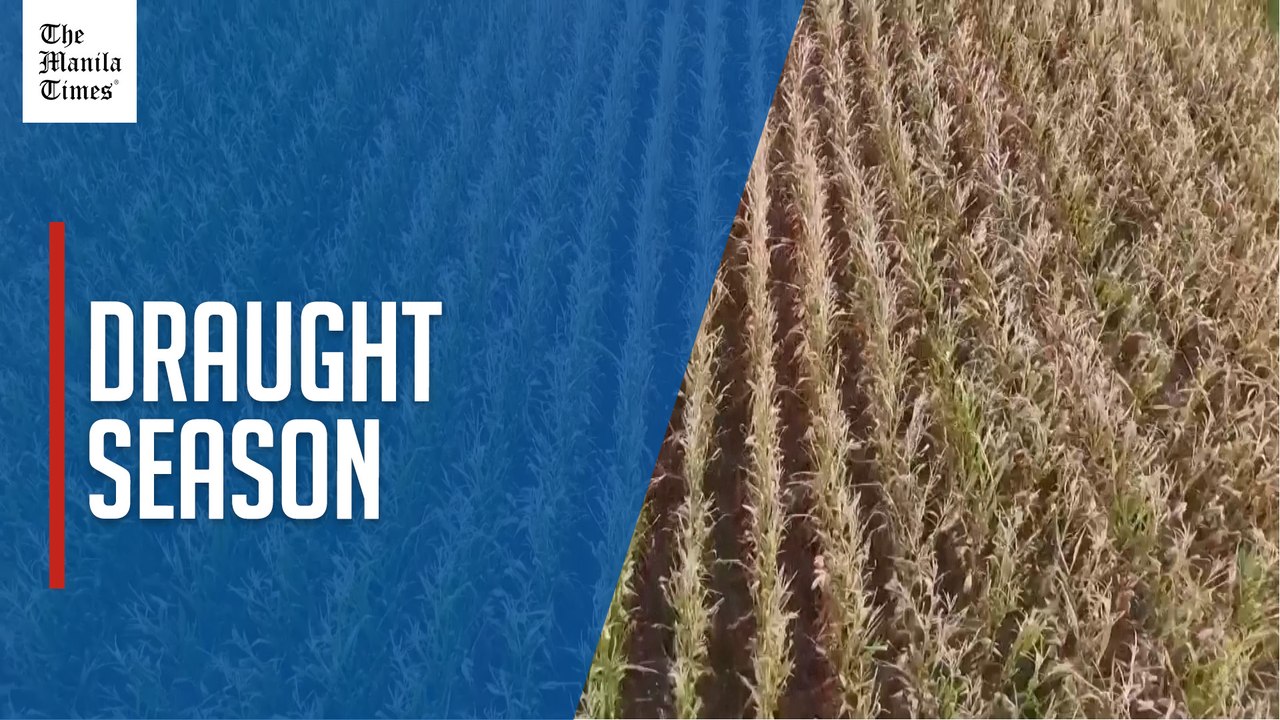 Farmers in Germany feel draught impact