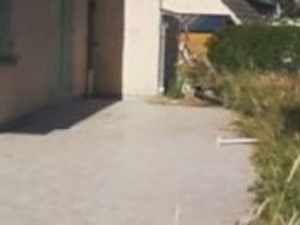 explosion flash(1)