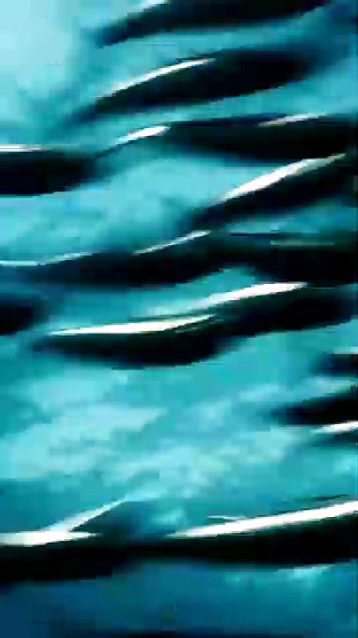 Trending Clip México - 2026-08-06 12:56