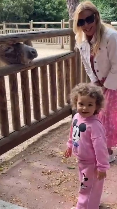 Ana Obregón, muerta de risa con la simpática ocurrencia de Anita al conocer un burro en el zoo