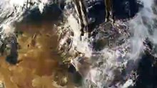 SpinningMule - #funnyanimals #pets #fyp #SpinningMule