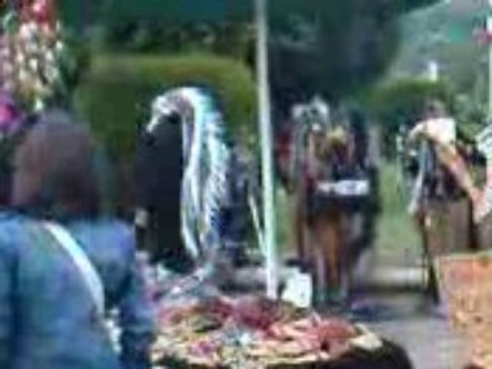 Vidéo des indiens au festival de country musique