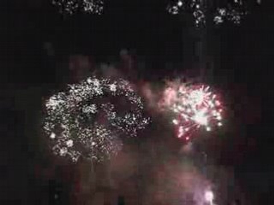 Feu d'artifice Versailles 2008