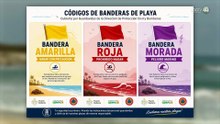 Restringen acceso en 5 playas de Vallarta por presencia de cocodrilos