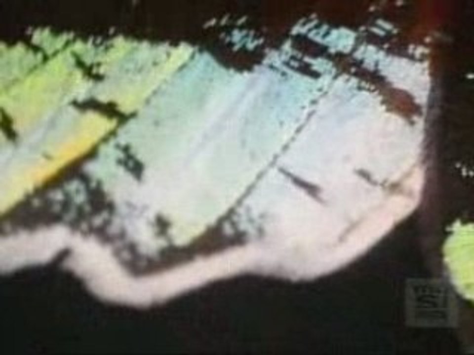 MARJO - Y a des matins