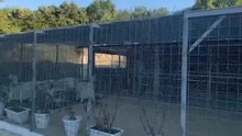 Il nuovo rifugio per gatti randagi grazie alla donazione di Giorgio panariello