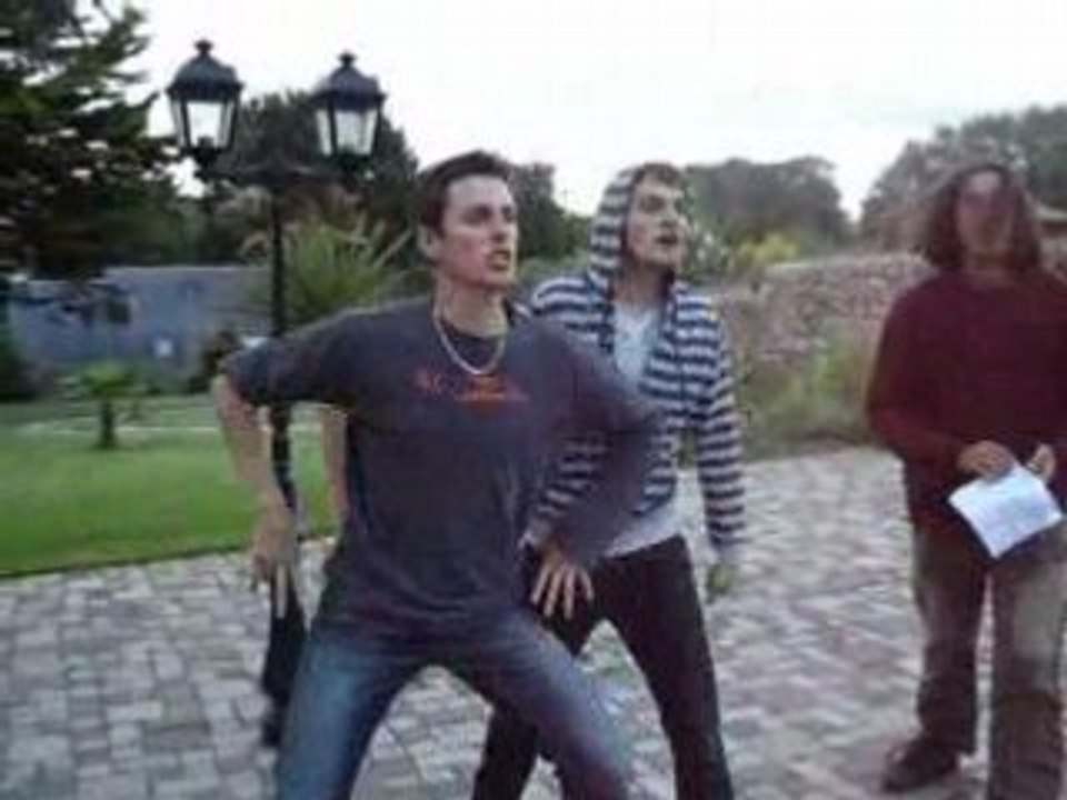 Les pigeons font les cons