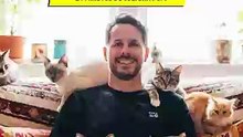 Dia do Gato