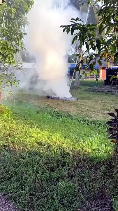 Three cops die in suspected electrocution in Beaufort