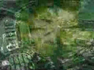 Levi's ambulance ride