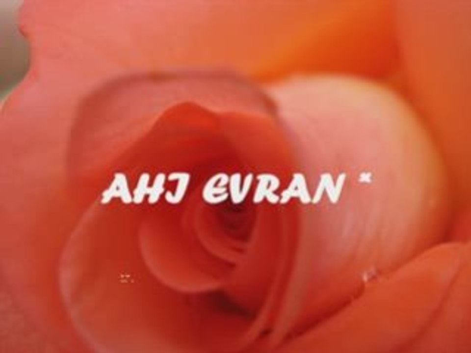 Ahi Evran