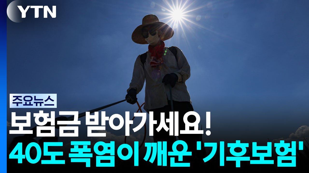 "이런 보험이 있어?”...40도 폭염이 깨운 ‘기후보험' [앵커리포트] / YTN