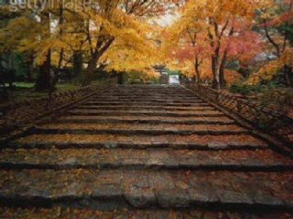 بعدك على بالي