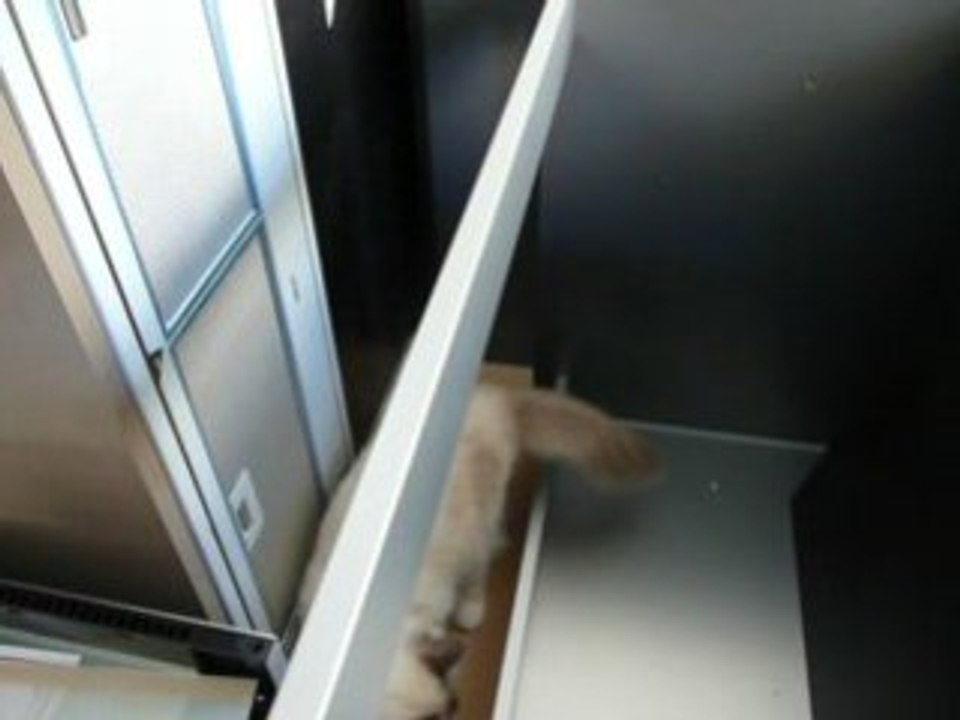 Nous les travaux on adore