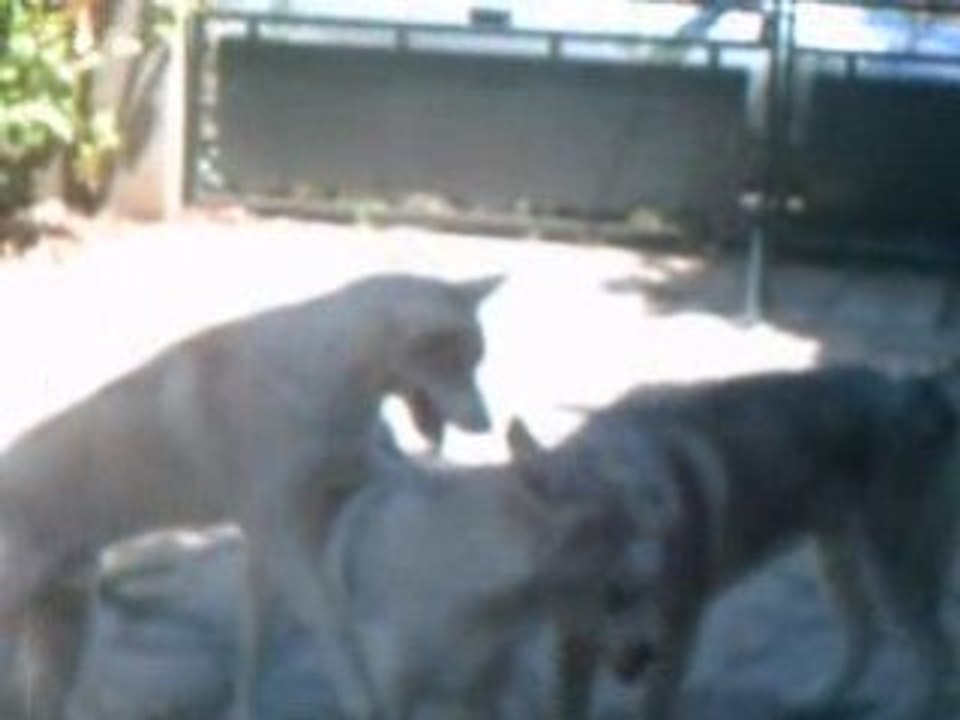 CLIP0011