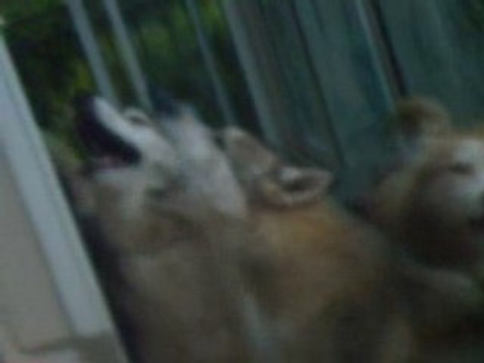 CLIP0010