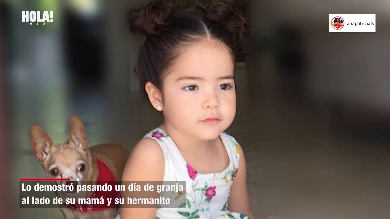 La hija de Ana Patricia Gámez lee un libro a unos animalitos