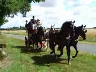 Attelages de tradition